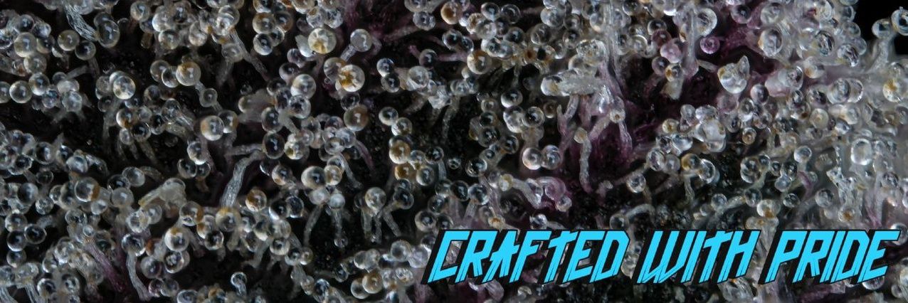PureLeaft's profile banner image