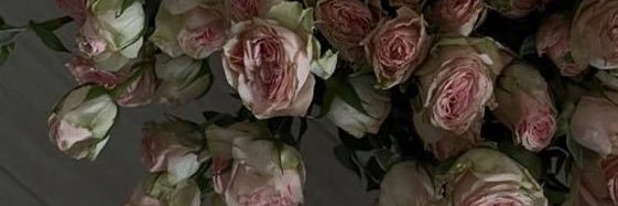 /•᷅•᷄\੭ banner