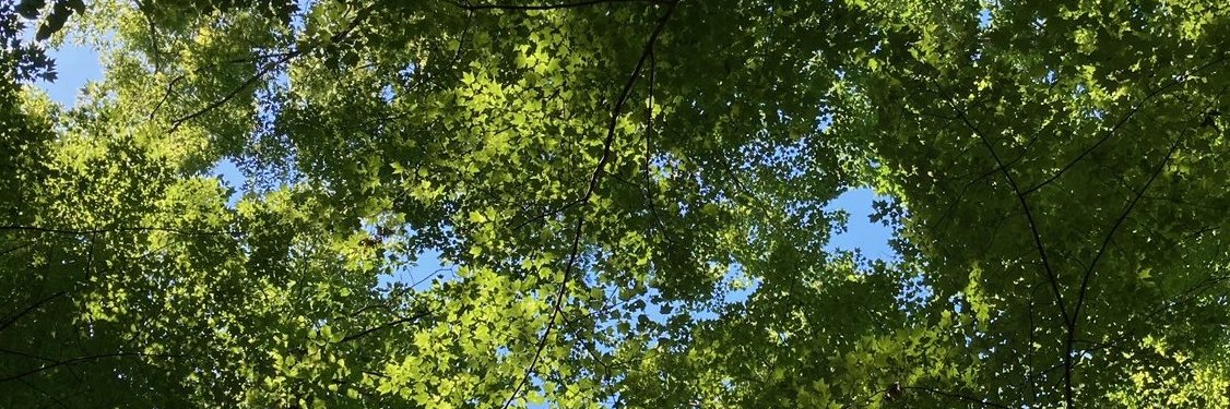 anthonyrswift's profile banner image