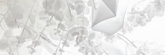 enst_jim's profile banner image