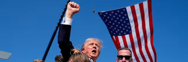 Donaldus Magnus banner