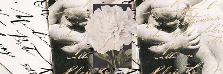 𓂃ᰔ˙ 𝓝𝒂𝒏𝒂 𝐰. 𝐭𝒆𝒆𝒕𝒆𝒆𝒑𝒐𝒓 ! banner