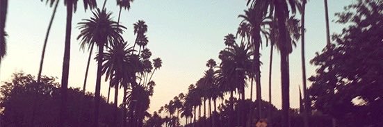 pursesNotBags's profile banner image