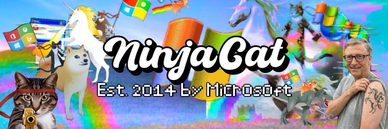 Ninja Cat CTO banner