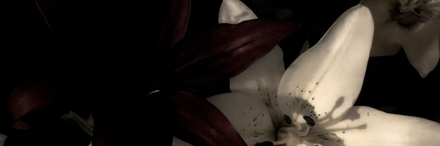 ֜ 𝒮𝖺𝖻𝗋𝗂𝗇𝖺 𝒞𝖺𝗋𝗉𝖾𝗇𝗍𝖾𝗋 ꜝ banner
