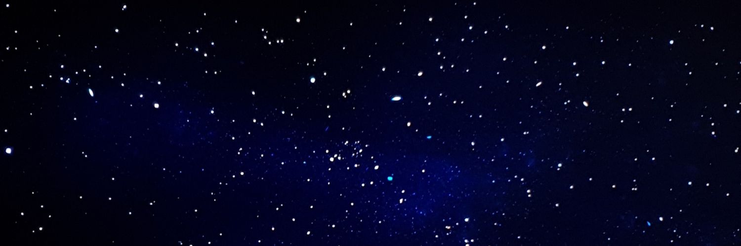 Cat banner