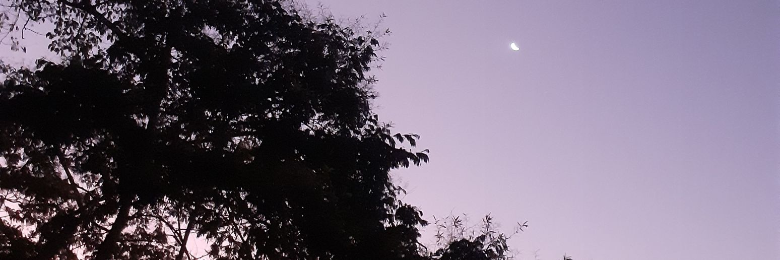 LuannaBarci's profile banner image