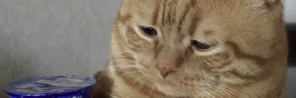 Great Replacer south america banner