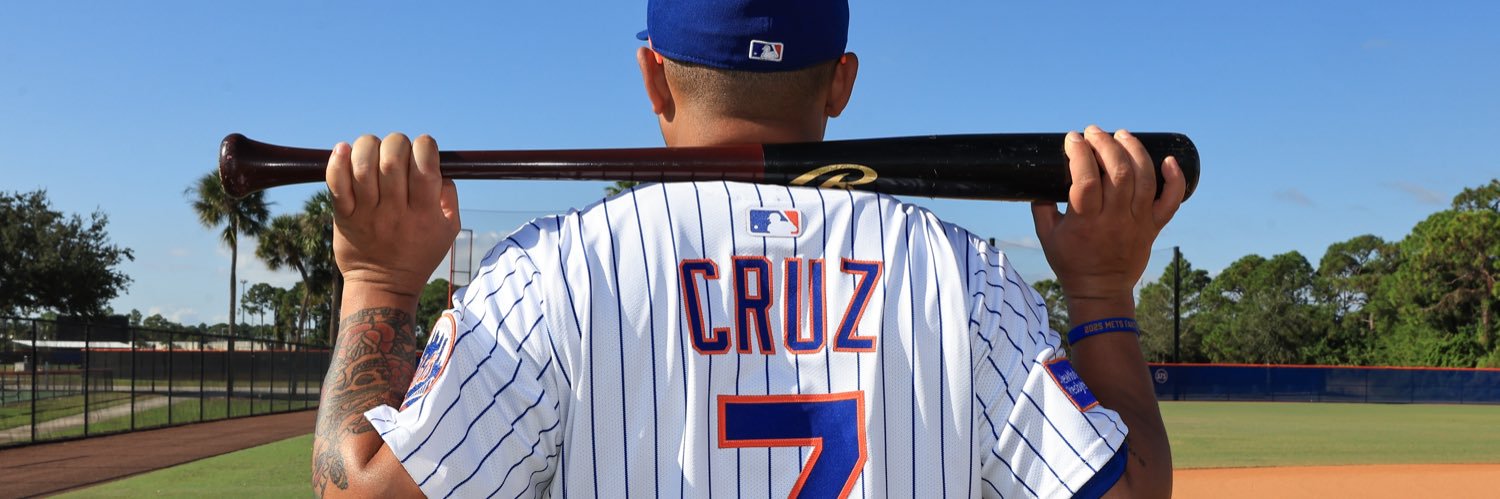 PNW Mets Nation banner