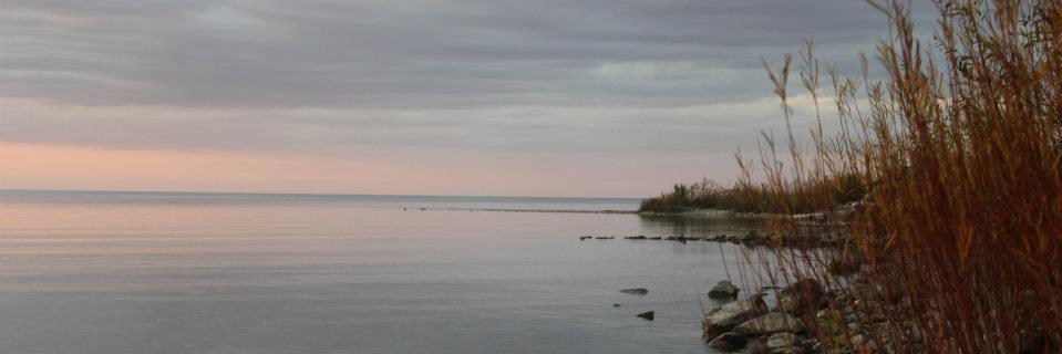CWech's profile banner image