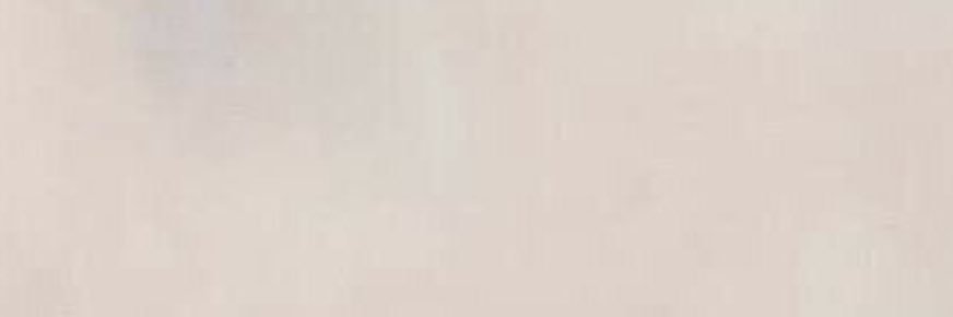 eden🐈‍⬛ banner