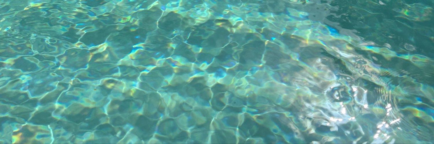 quokkacakes's profile banner image