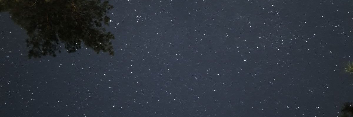 w banner