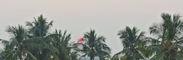 Soundarya S Rajan's banner