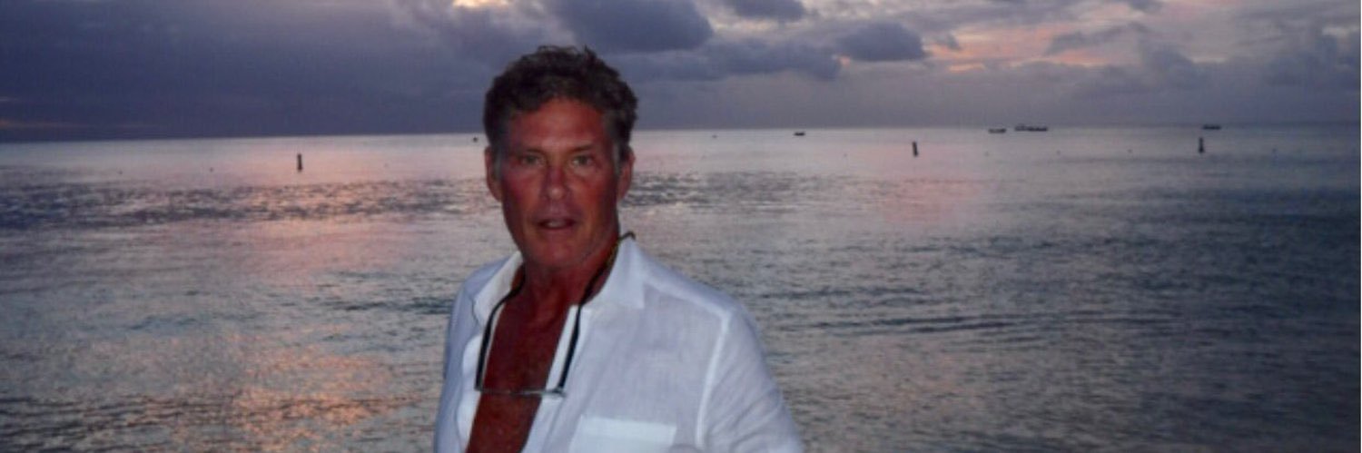 David Hasselhoff banner