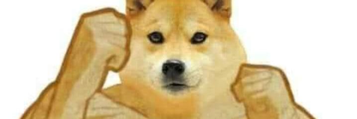 Silly Yellow Dog banner