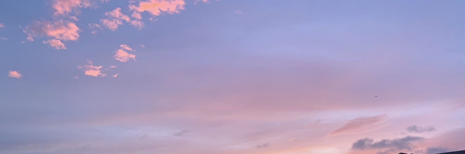 mereweigs's profile banner image