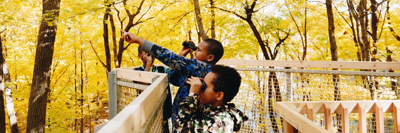 Camp Fire Minnesota banner