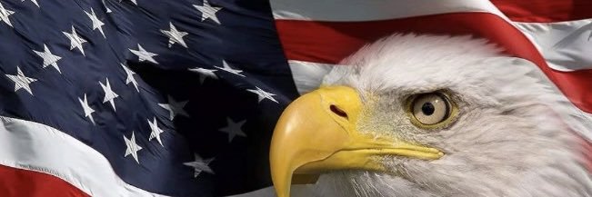whatever_karen's profile banner image