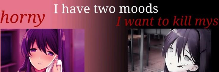 𝄞 . casey banner