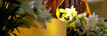 Sue O'Connor banner