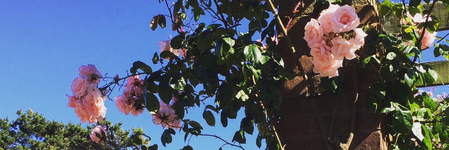 Bexypie's profile banner image