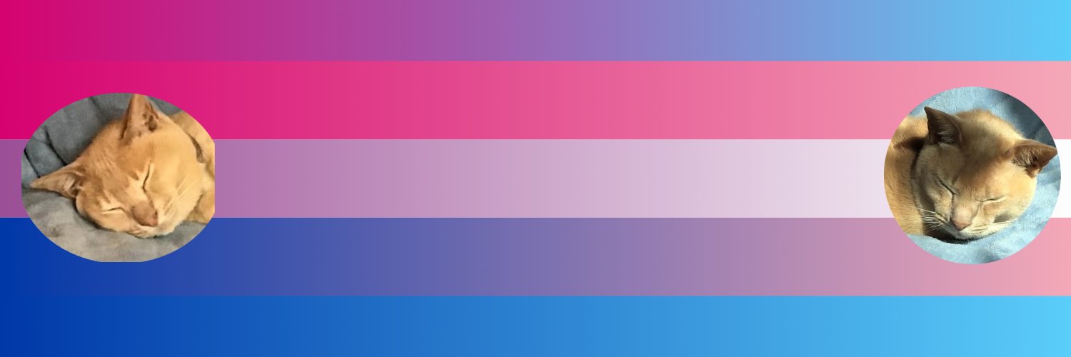 CassFenrir's profile banner image