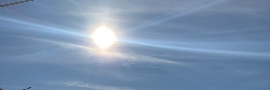 malemuniz's profile banner image