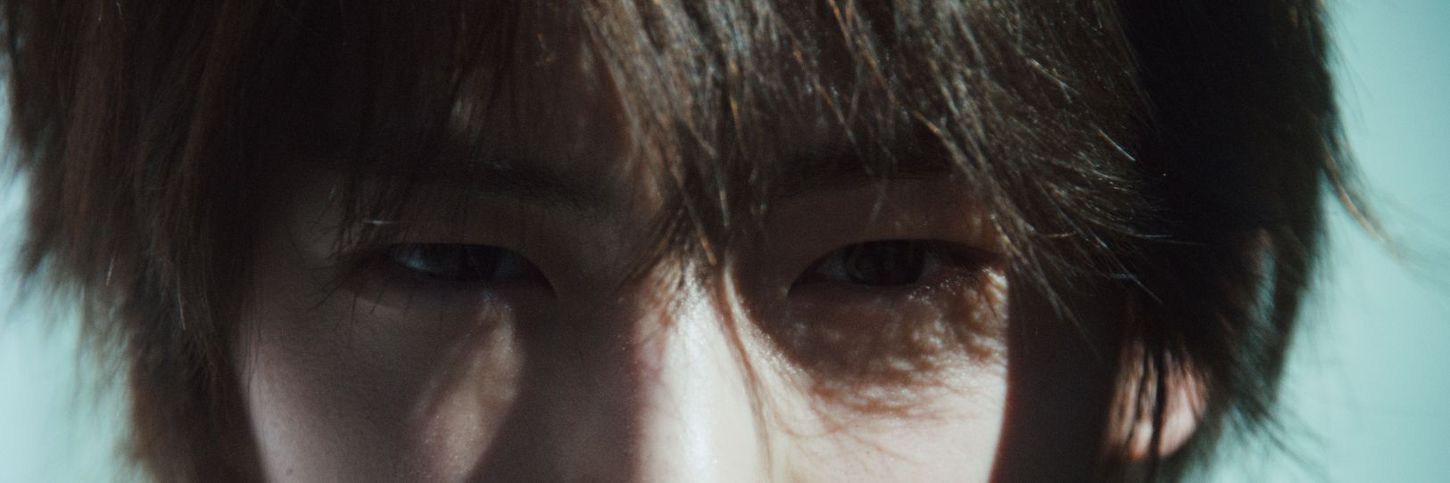 born this way banner