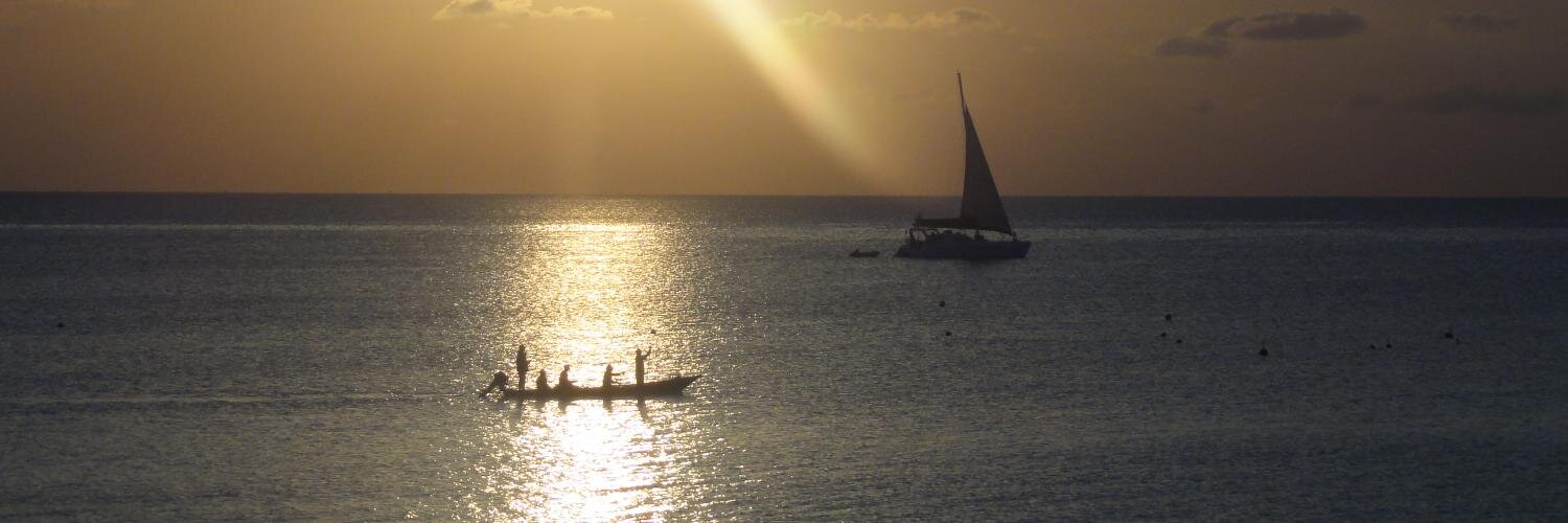 Natalie Williams 🧡 banner