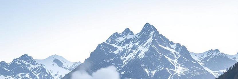 大飞宝爱加杠杆🌋 banner