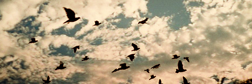 putrihdyn's profile banner image