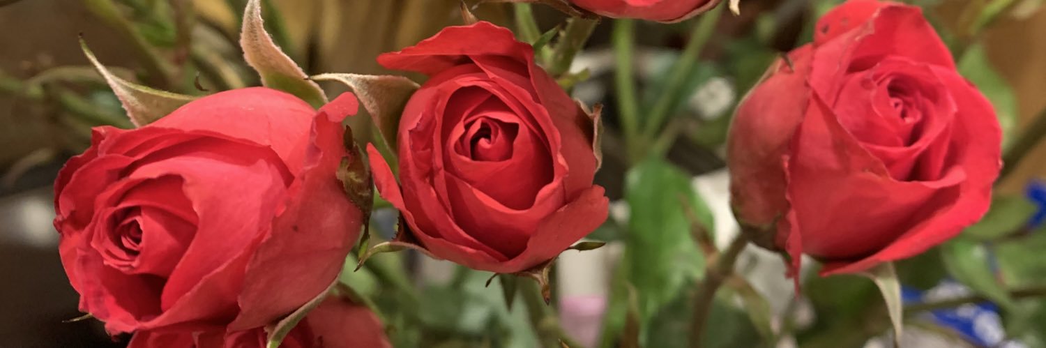 kellisuelandon's profile banner image