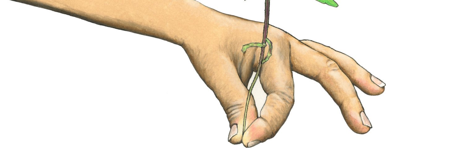A Children’s Book about Marijuana banner
