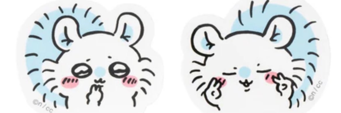 𖣔はあちょん𖣔 banner
