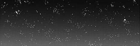 nova 🥀 banner