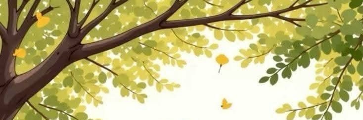 Ematan057's profile banner image