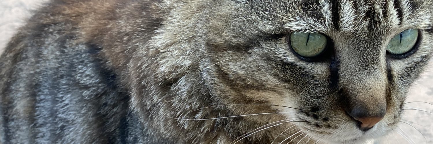 hi_chi_3's profile banner image