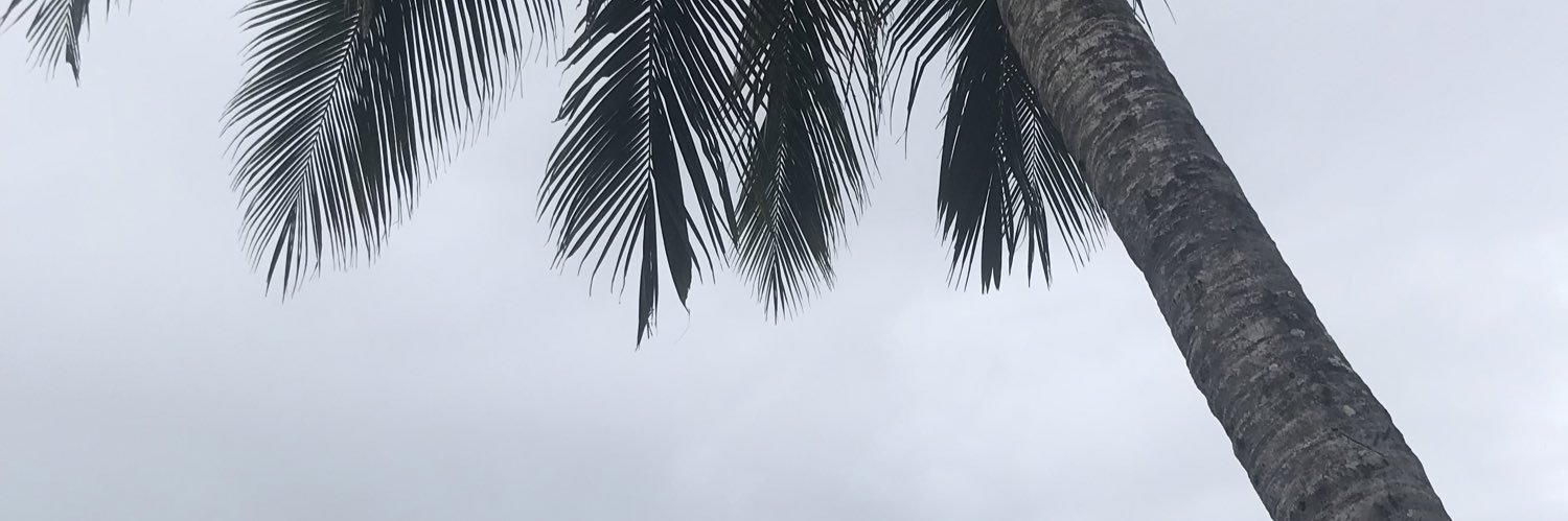 Melu Liberman banner