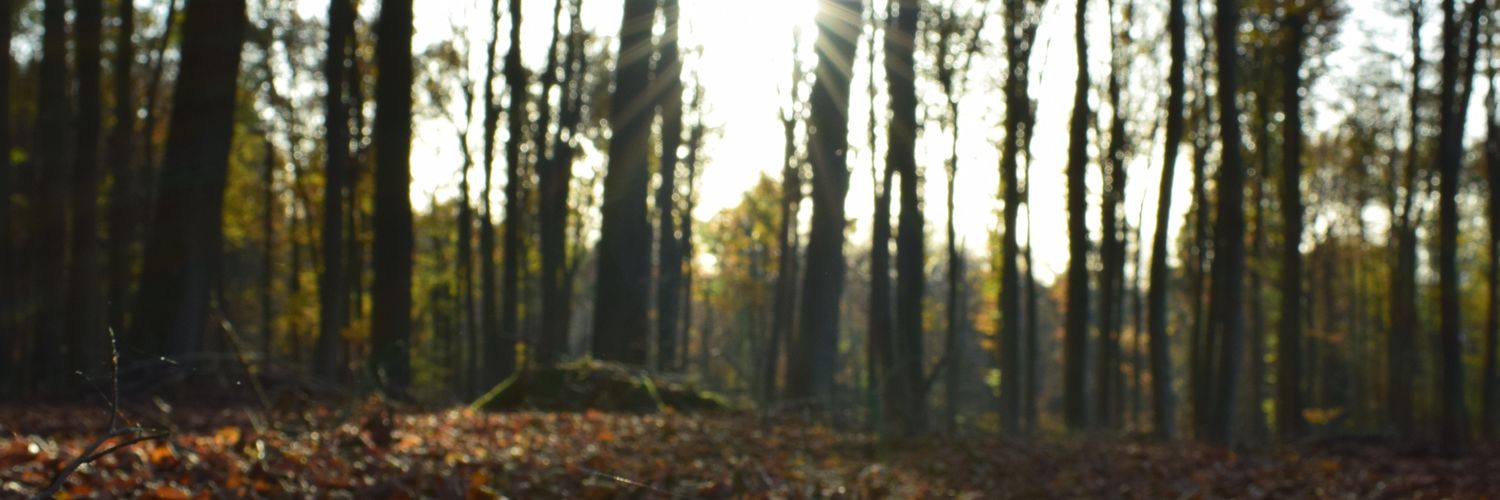 DontCallMeJulie's profile banner image