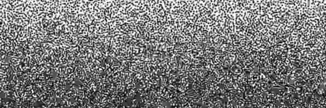 a_ezzo's profile banner image