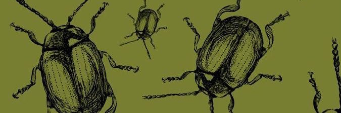 atticus banner