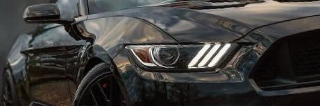 carlover banner