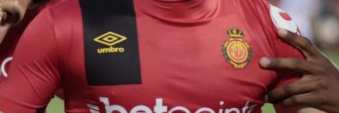 Toni Moll banner