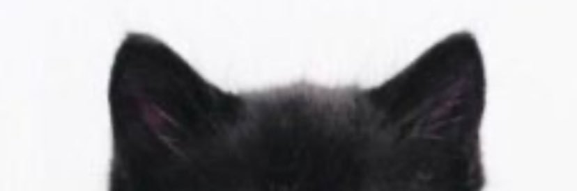 1wiixi's profile banner image