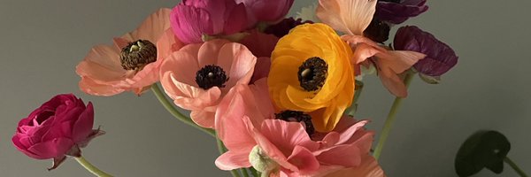 s_nish Profile Banner