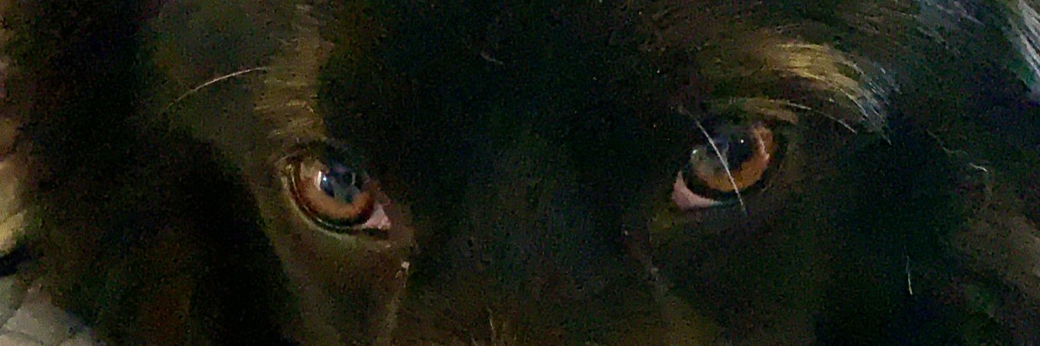 hank2011's profile banner image
