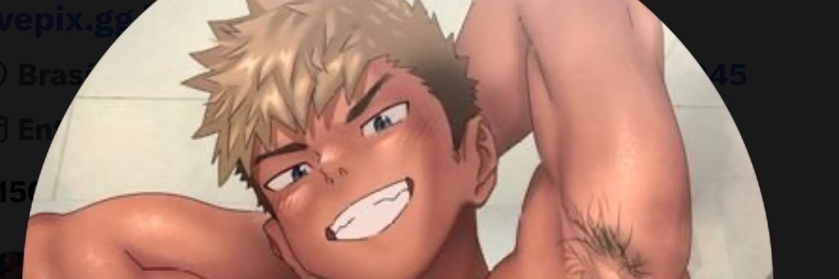 gostodehomfe6's profile banner image