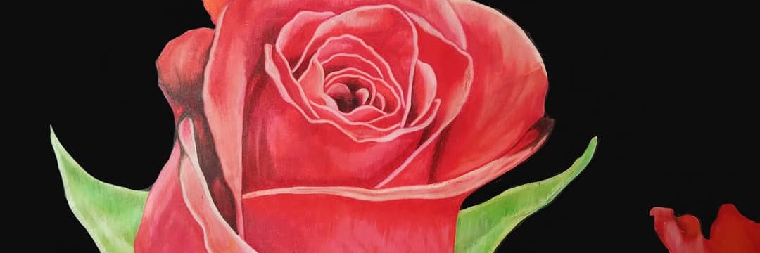 Jamrol14's profile banner image