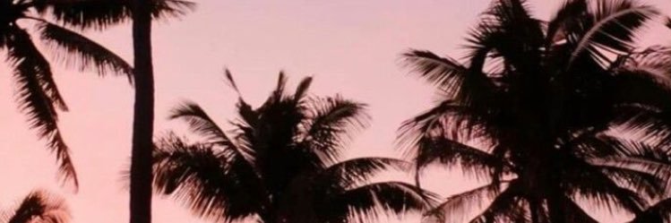 Leacarilo's profile banner image